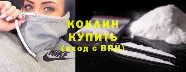 шишки Медвежьегорск