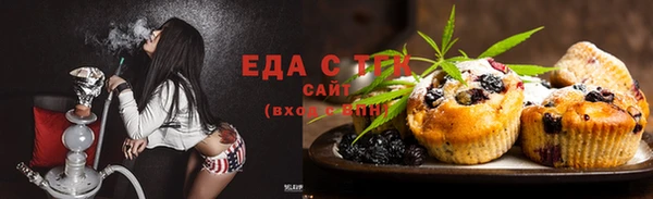 шишки Медвежьегорск