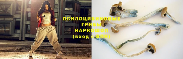 шишки Магадан