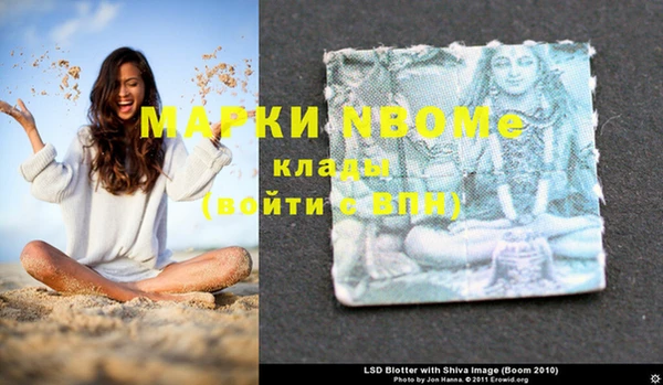 шишки Медвежьегорск
