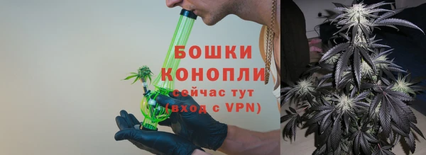 шишки Медвежьегорск