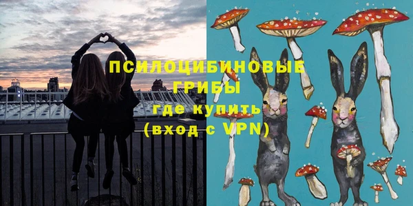 шишки Медвежьегорск
