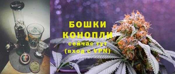 шишки Медвежьегорск