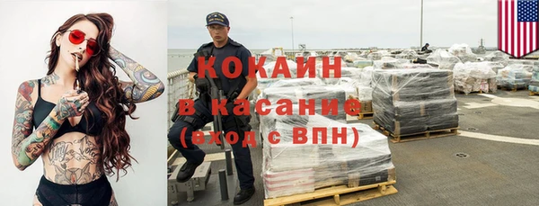 шишки Медвежьегорск