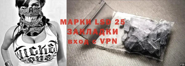 шишки Медвежьегорск