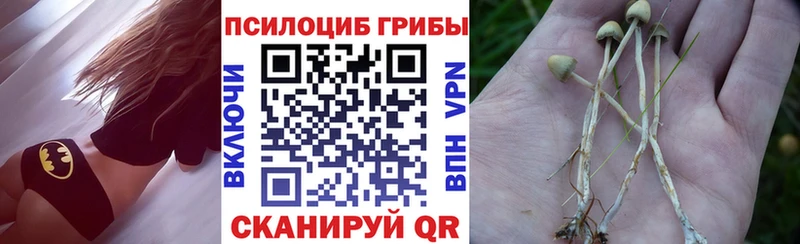 Псилоцибиновые грибы ЛСД  купить   мориарти официальный сайт  Лысково 