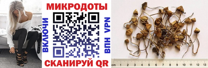 Галлюциногенные грибы мухоморы Лысково
